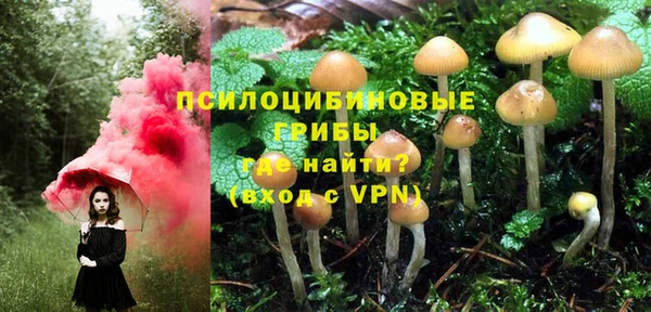 ГАЛЛЮЦИНОГЕННЫЕ ГРИБЫ Верхний Тагил